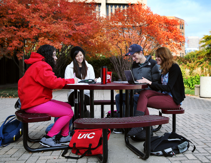 students studying outside