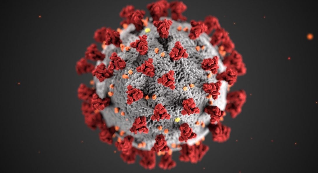 SARS-CoV-2 coronavirus